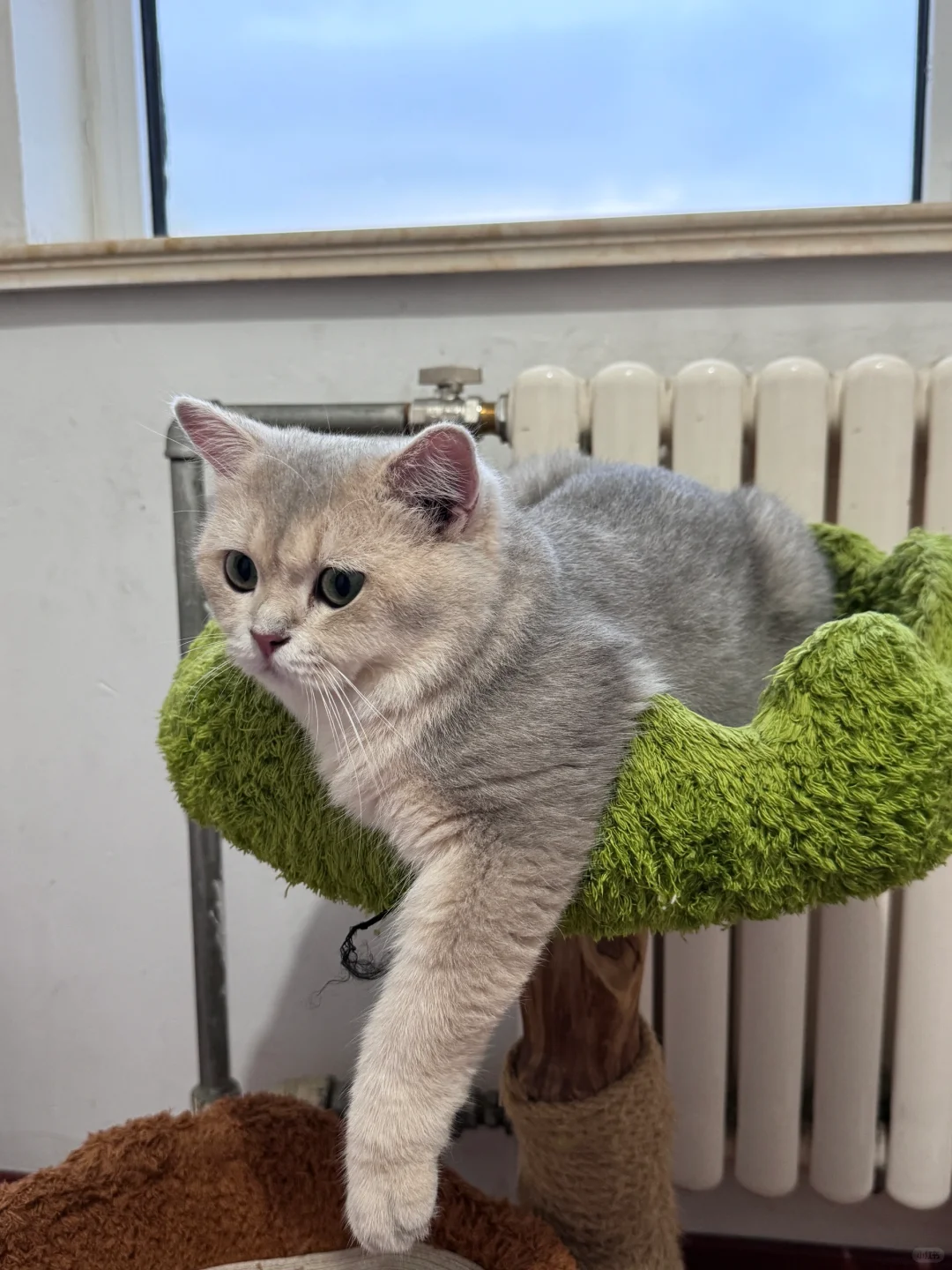 可爱合集～快来吸！！！