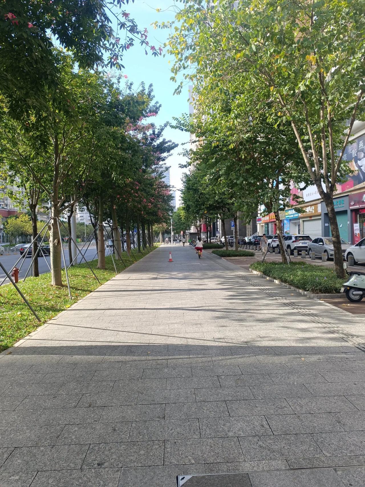 #一张图证明秋天来了# 
漫步小径，享受自然之美。