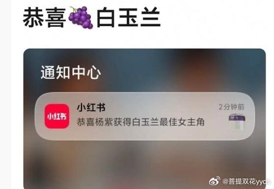 小红书这是知道内幕了？说紫是白玉兰视后？ 