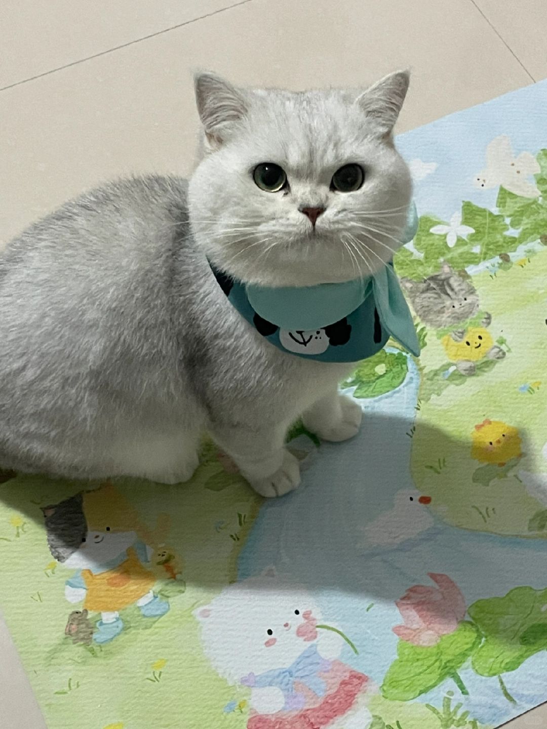 这气鼓鼓的小表情
