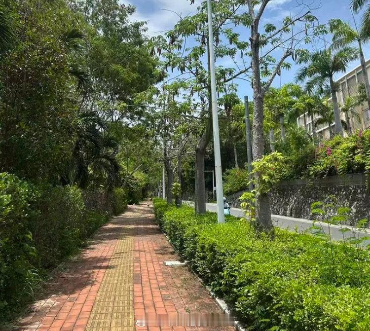 漠河超35度此生一定要去趟漠河，问题来了，什么季节去呢？[笑而不语] ​​​