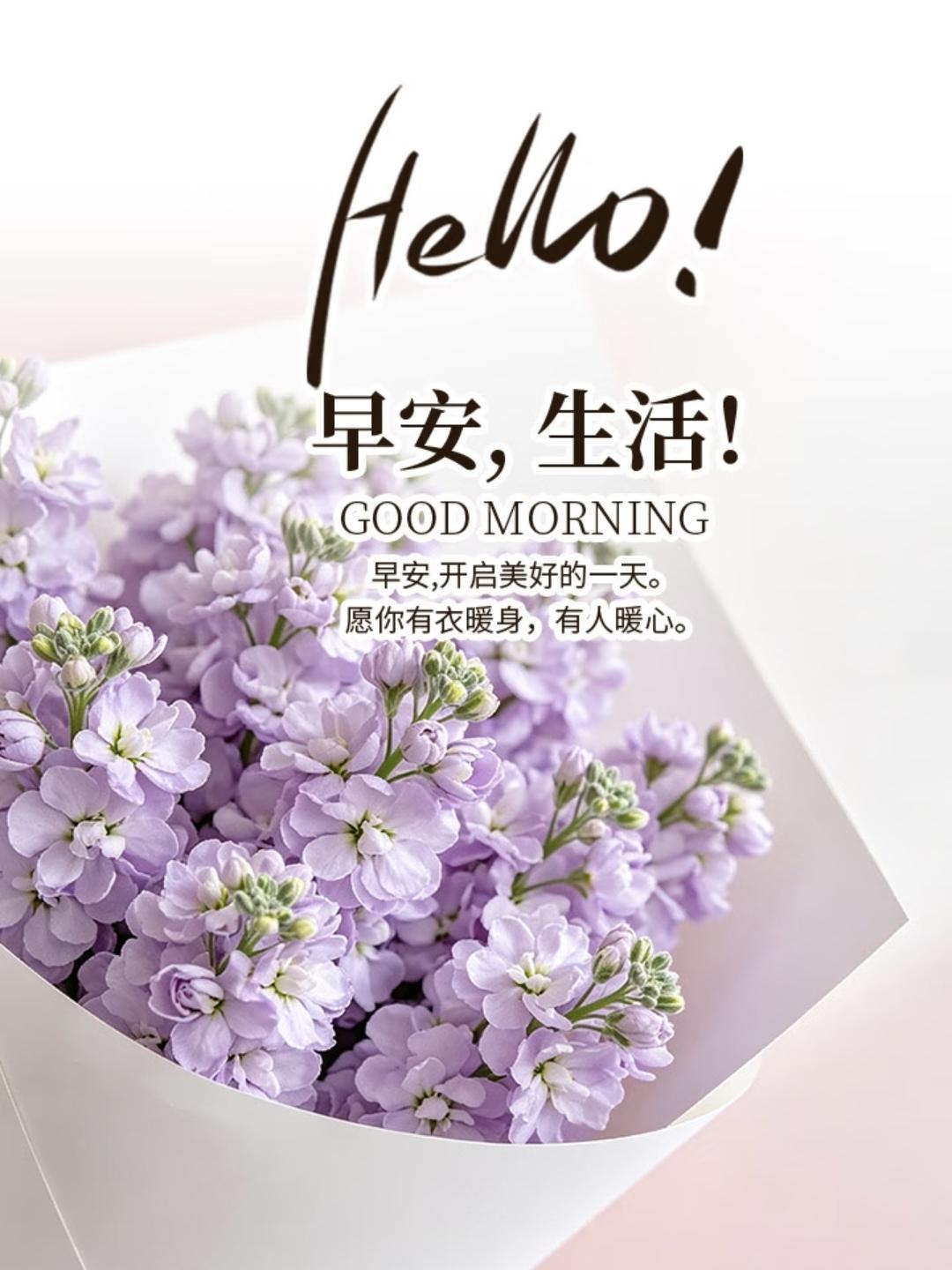 ²º²⁶/₀₅.₁₉🌸 𝓜𝓸𝓻𝓷𝓲𝓷𝓰山再高，向上总有路，夜再长