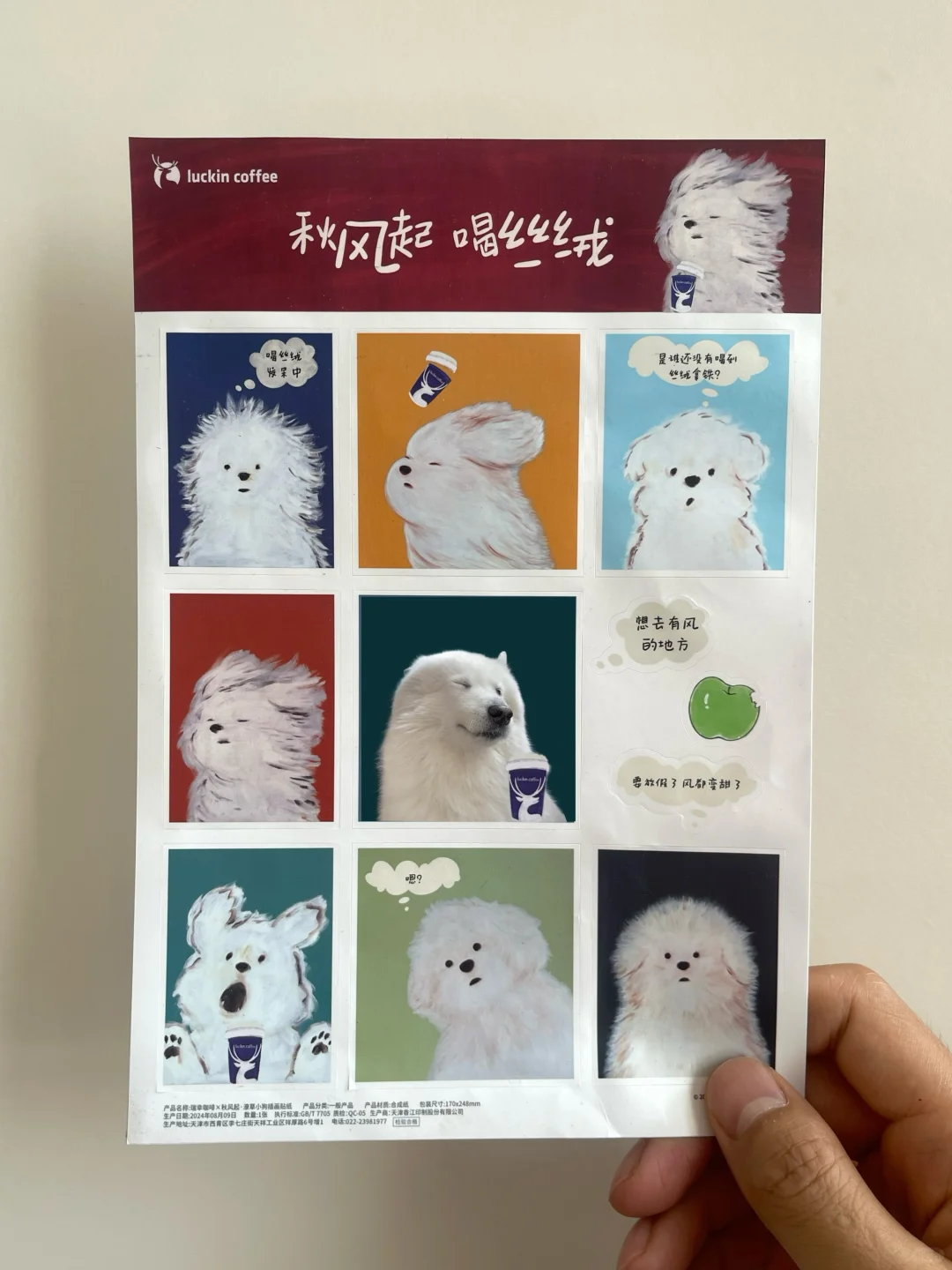 请选择你的小狗🐶