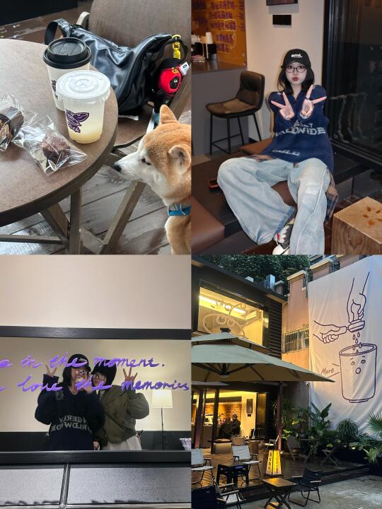 南宁！紫里紫气的独栋咖啡屋！偶遇治愈系柴犬
