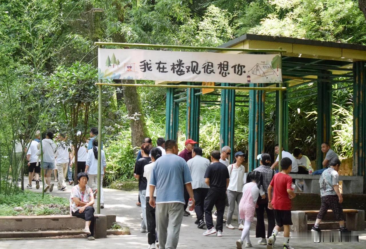  登山、露营、文化体验、迎财纳福，国庆假期克里马擦去周至~#楚涵带你去旅行# 今