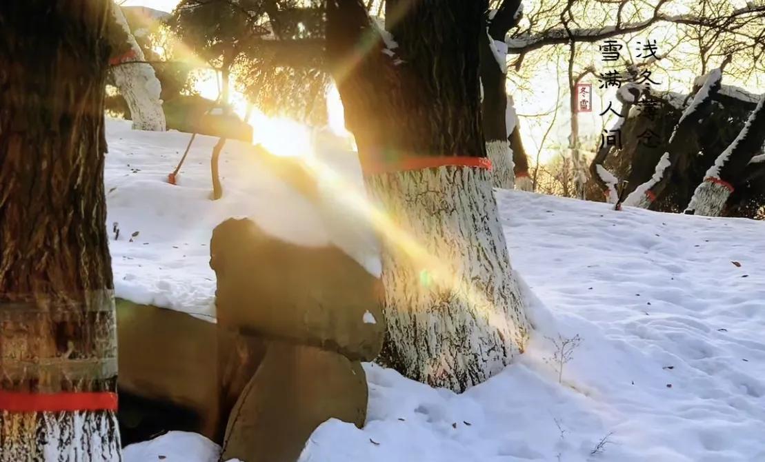 家乡雪
人老闲居在蓉城，弹指一年又逢冬，
纵有山川也难挡，家乡瑞雪飘入梦。