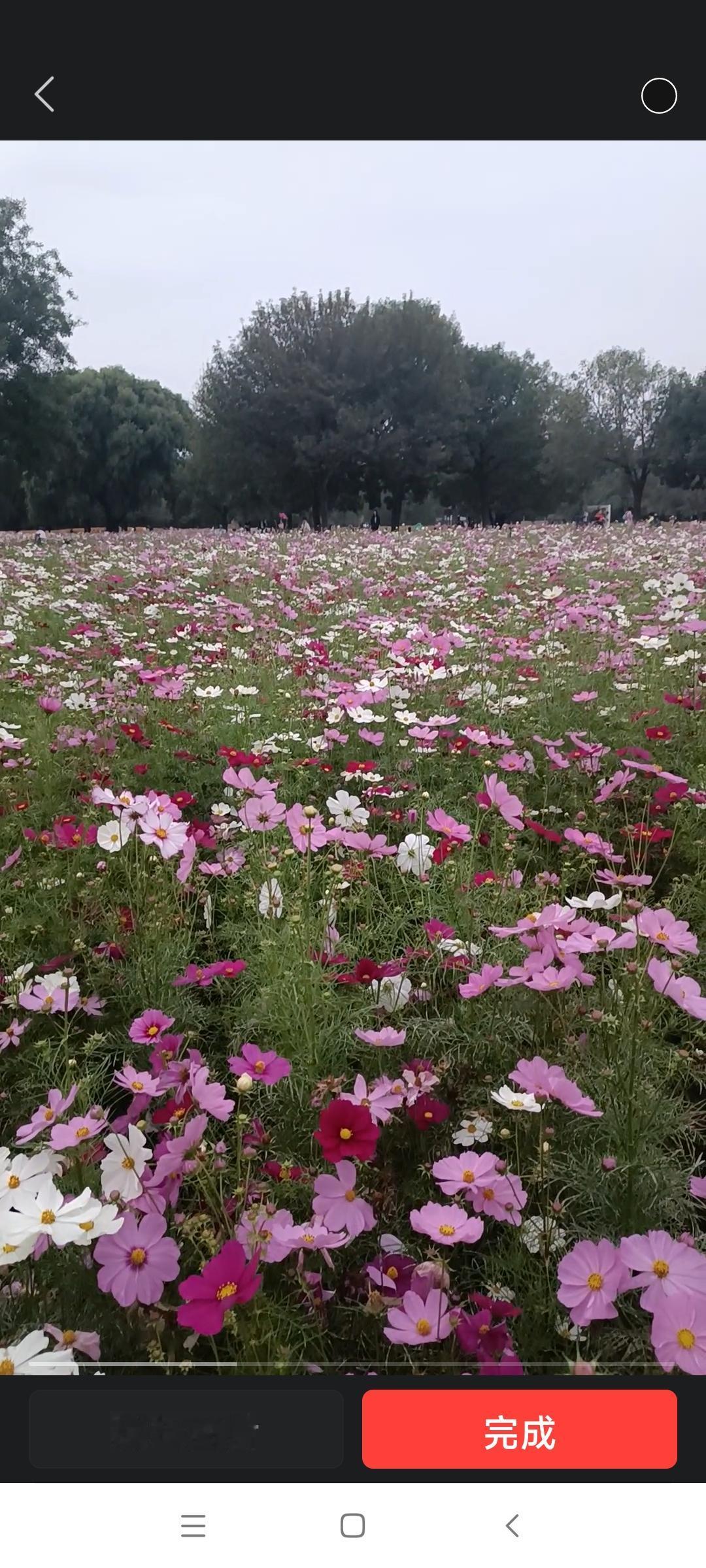 说的真精辟!都说到他们心坎儿里去了吧!他说每个男人都有四大愿望：
家里有个做饭的