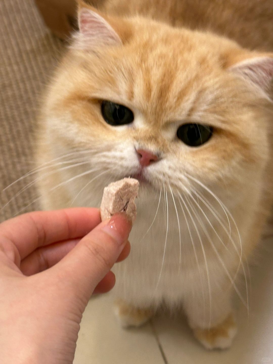 孩子看起来越来越蠢了怎么办
