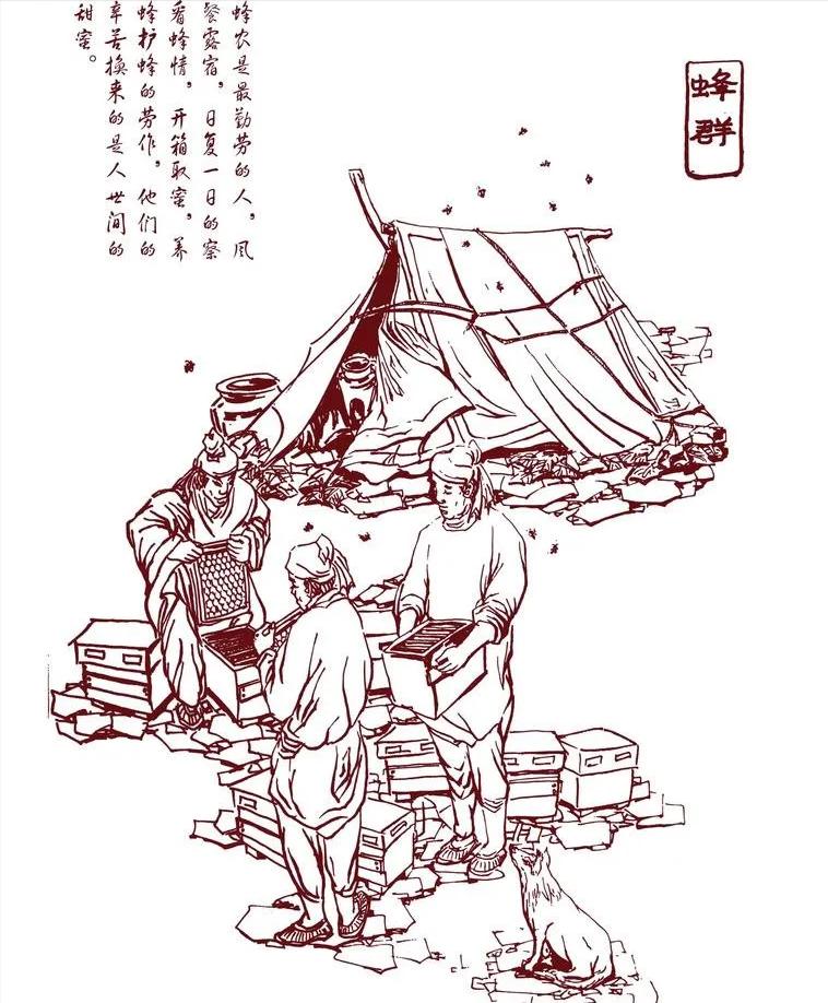 距今约一千五百年前，北魏农学家贾思勰写了一部农书，其中有一节专门讲蜜蜂的人工饲养