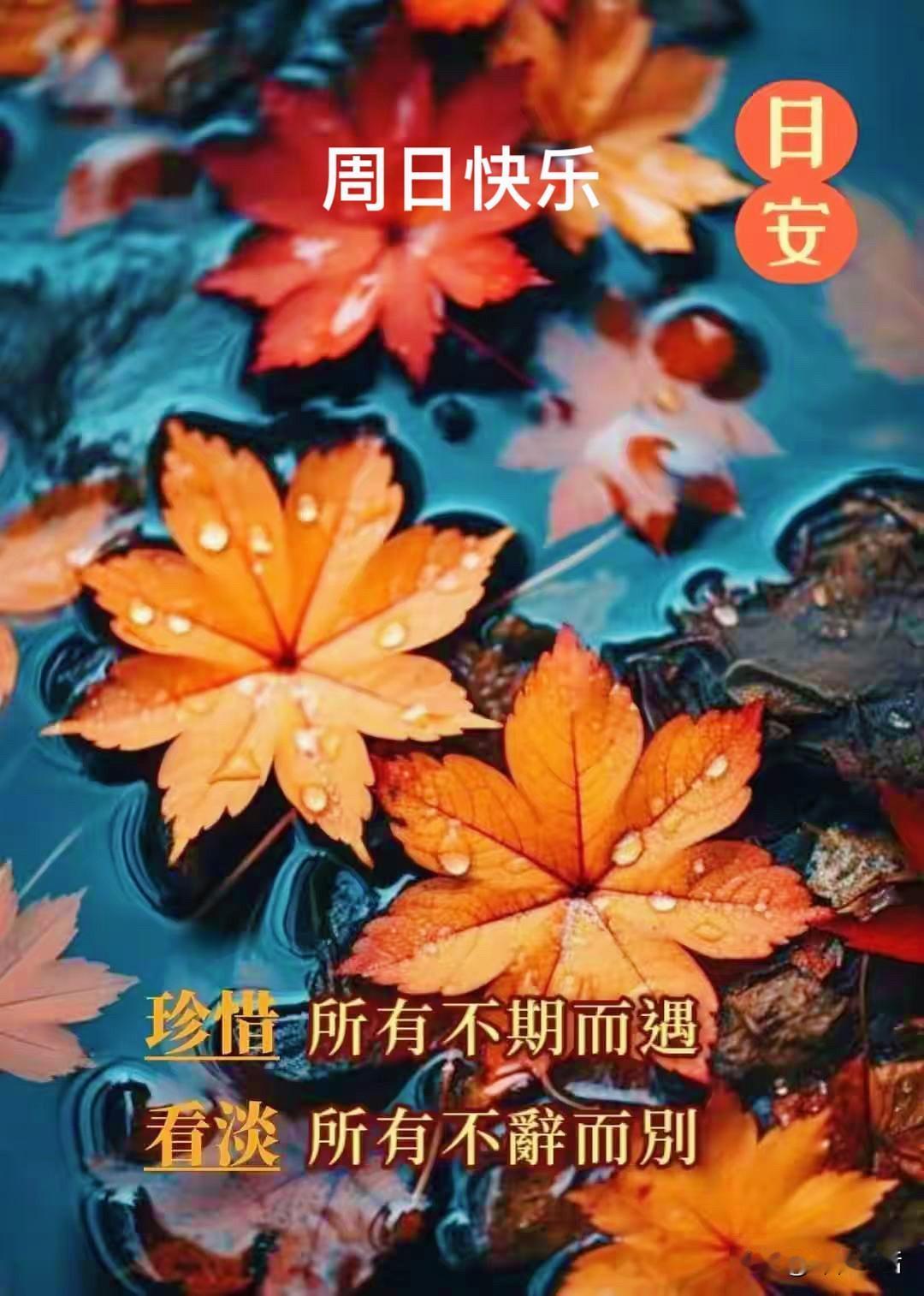 秋日寄语

秋叶眠秋水，朝晖映晚晖
相逢当惜取，别去莫沾衣