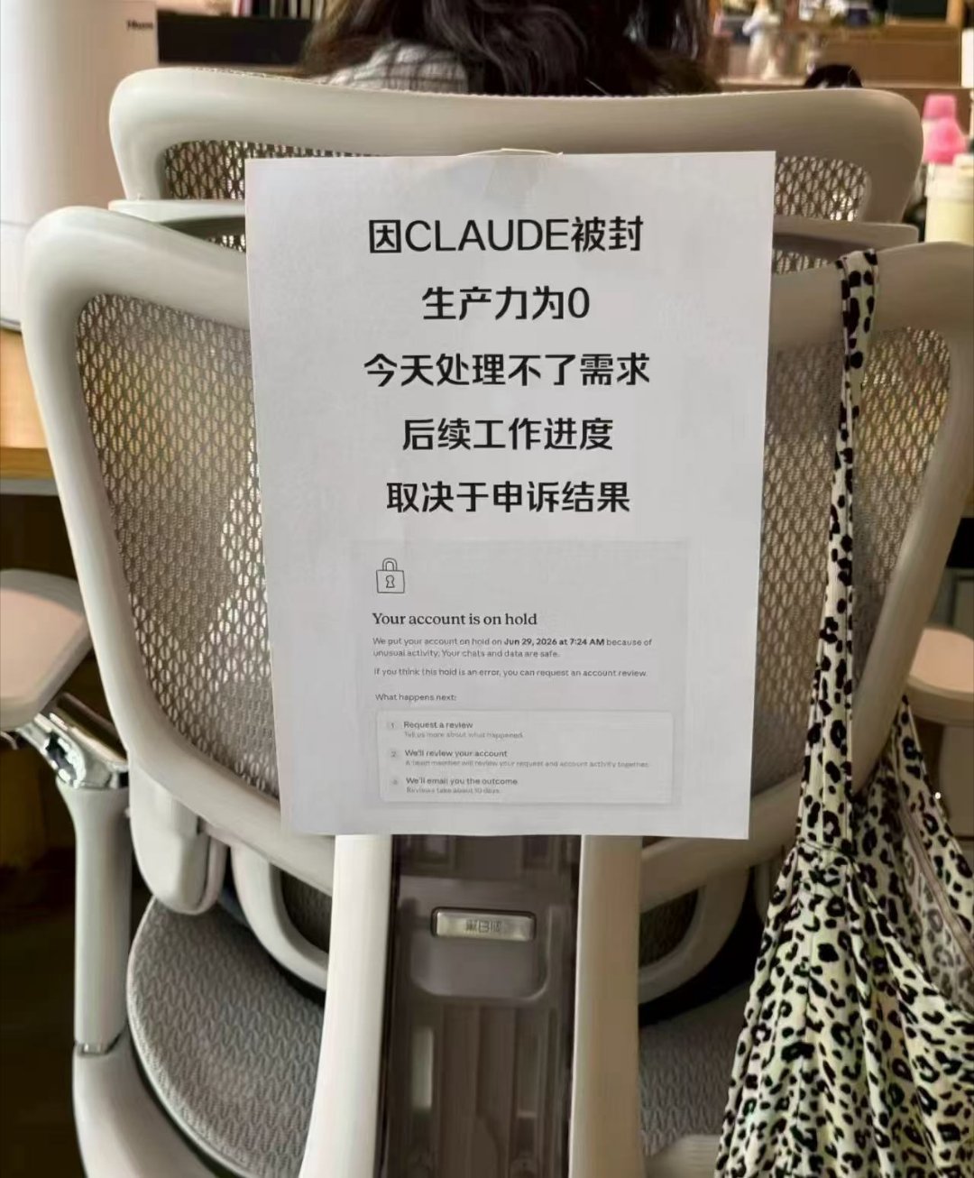 “因cloud被封，生产力为0，今天处理不了需求，后续工作进度取决于申诉结果。”