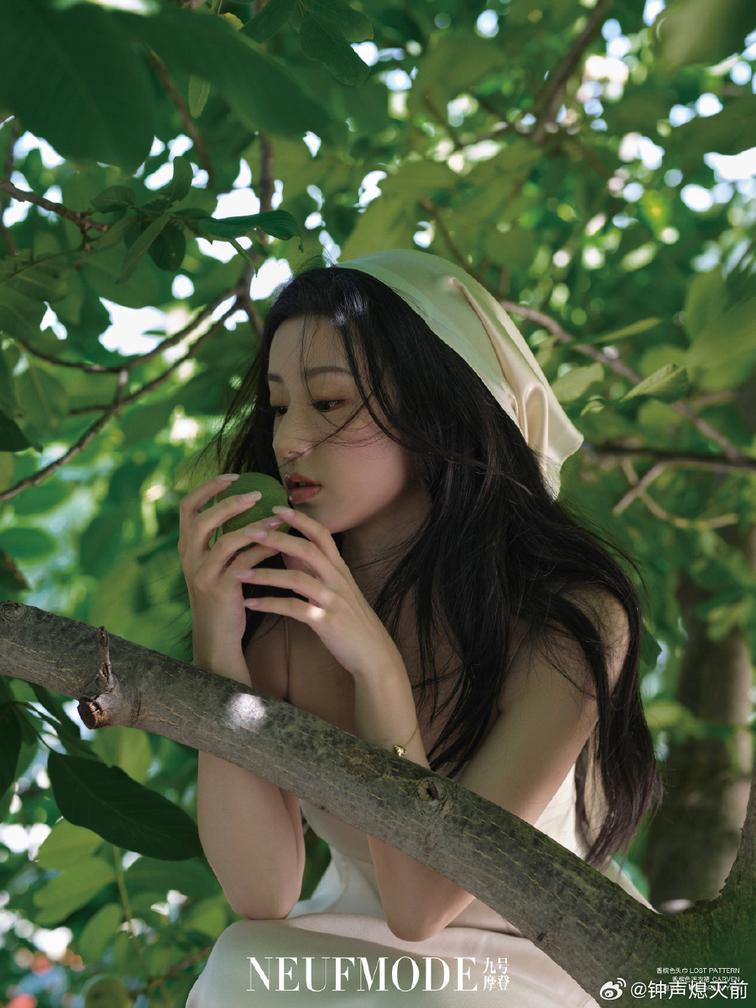 可嗅到仲夏柠叶香🍋 