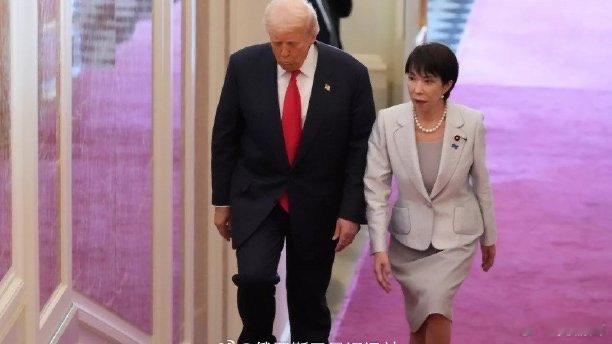 《美日安保条约》、武器支援、“核保护”，应该得到了Daddy默许和“Promis