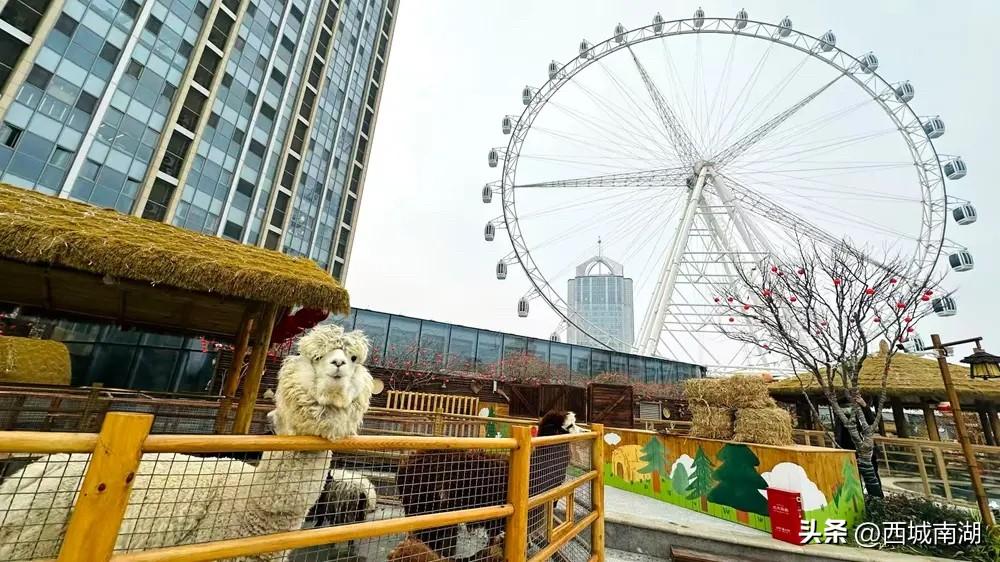 胖东来凭一己之力一举搅动整个商界，这批从河南新乡起家的地方商超为何能在网购时代异