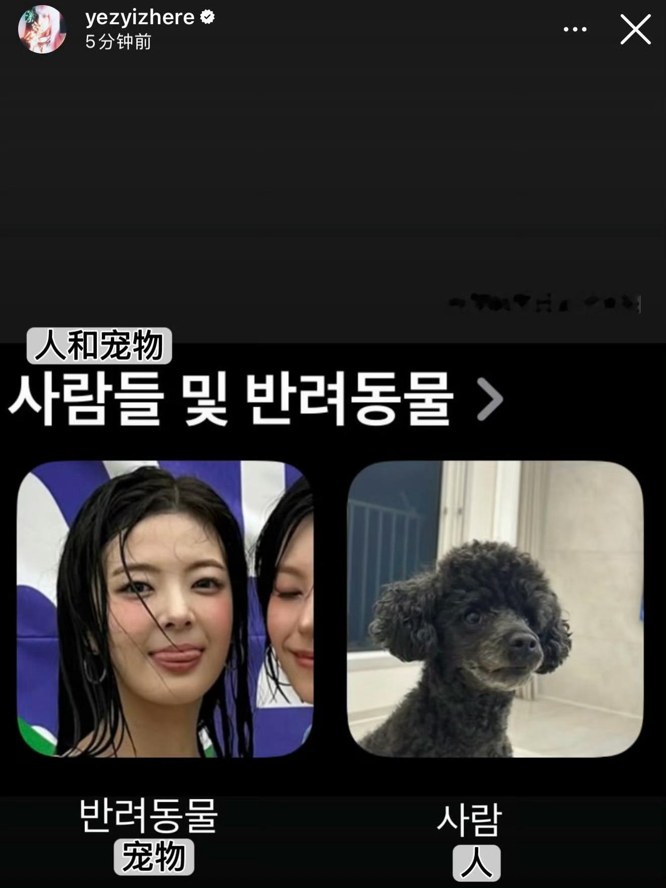 她真的要一直这样害我莫名其妙笑一下吗 