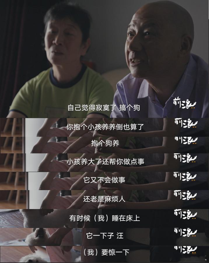 养了9年的狗和刚领证的70岁老伴选谁纪录片前浪2 腾讯视频呈现普通人的情感困境，