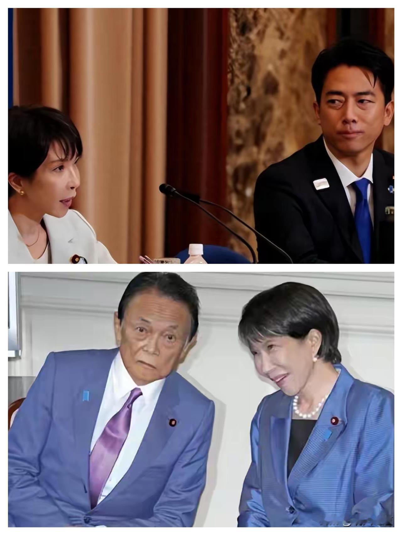 53年来首次，日高官求中方一件事，不到24小时，高市早苗涉台表态变了。
熊猫可不