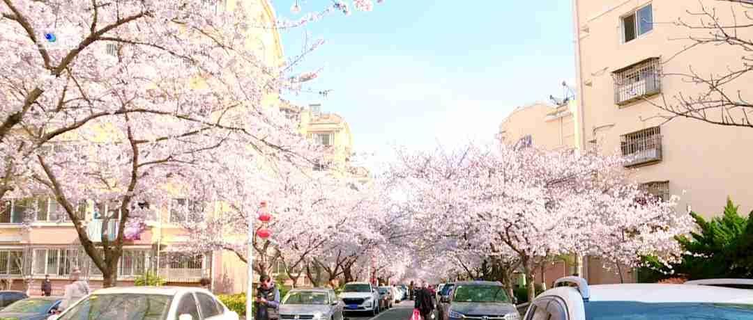 我的今日状态：😁轻松愉快
我这里的天气：☀️晴天