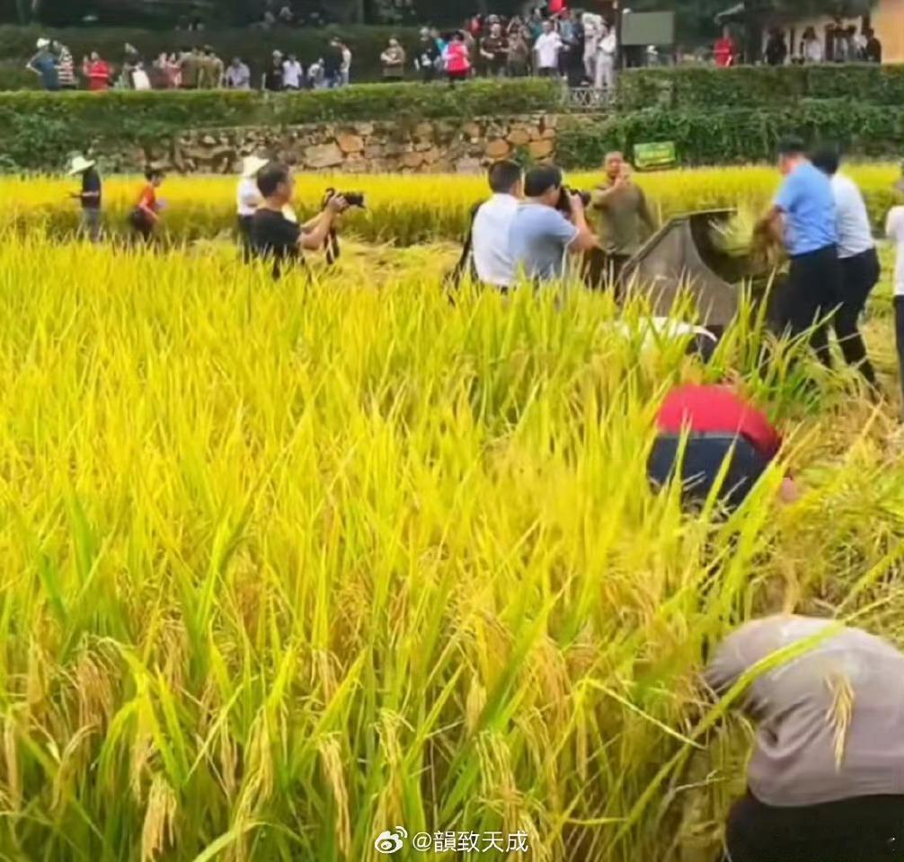  97年村支书带全村拍美食晒丰收 年轻支书有想法！不晒账本晒美食，领着全村人用一