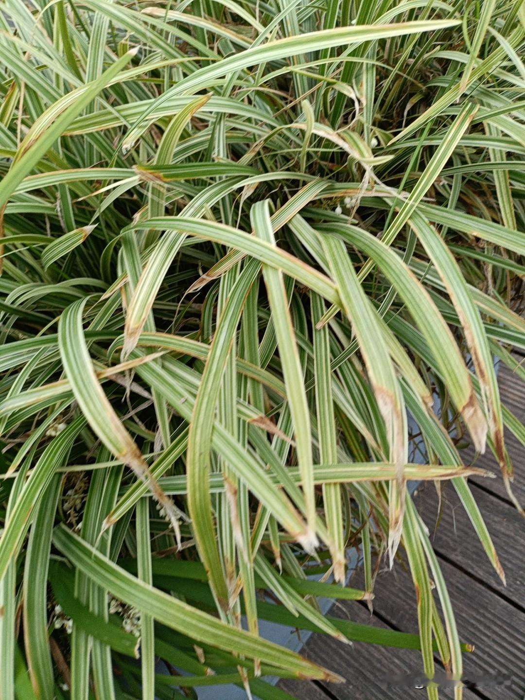 金钱除外，当下人们最缺的是什么身体的健康让人焦虑，小孩的成长让人担心！