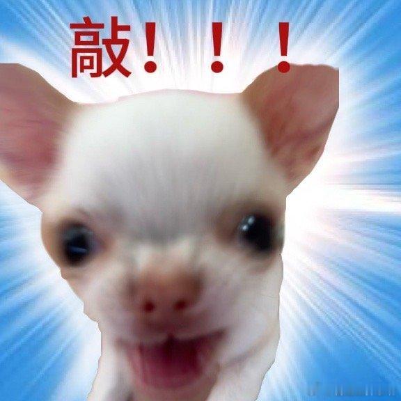 史上屏占比最大华为手表曝光 这块大屏太给力，屏占比拉满，看着开阔舒适，没多余边框