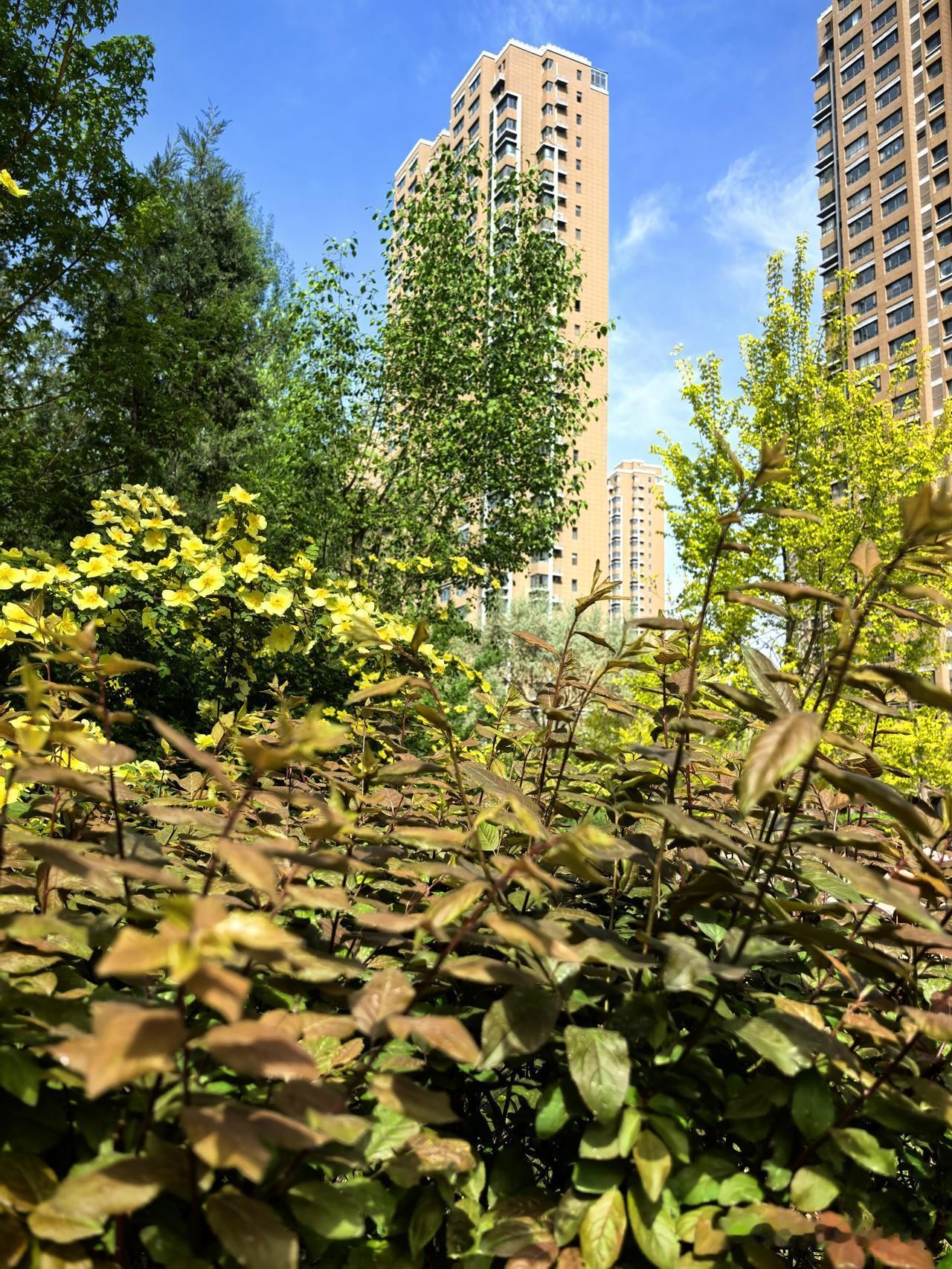 故里长空澄澈，白云悠然漫渡山河。