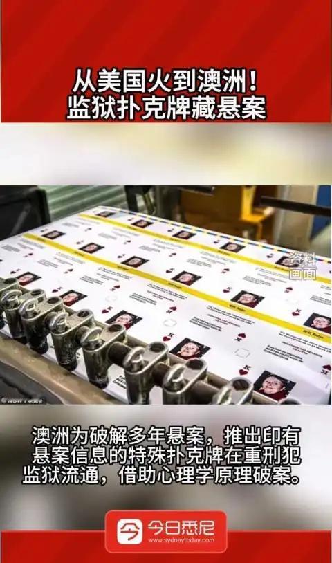 华人懵了！澳洲最赚钱的工作竟然在监狱
华人懵了！澳洲最赚钱的工作竟然在监狱，说几