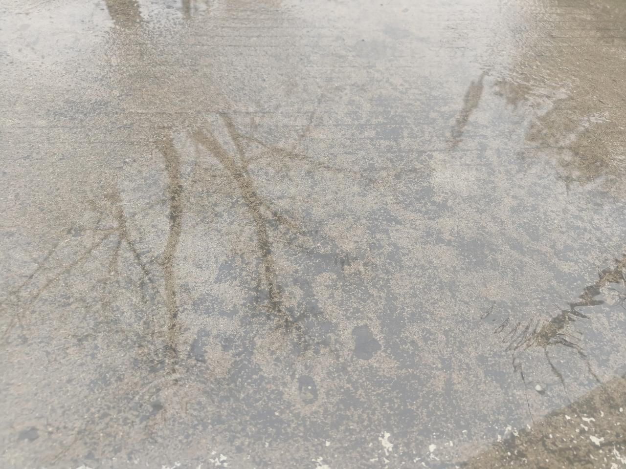 石家庄中午下了会雨，下午又开始下，春雨贵如油。加上前几天石家庄下雪。近期雨水还可