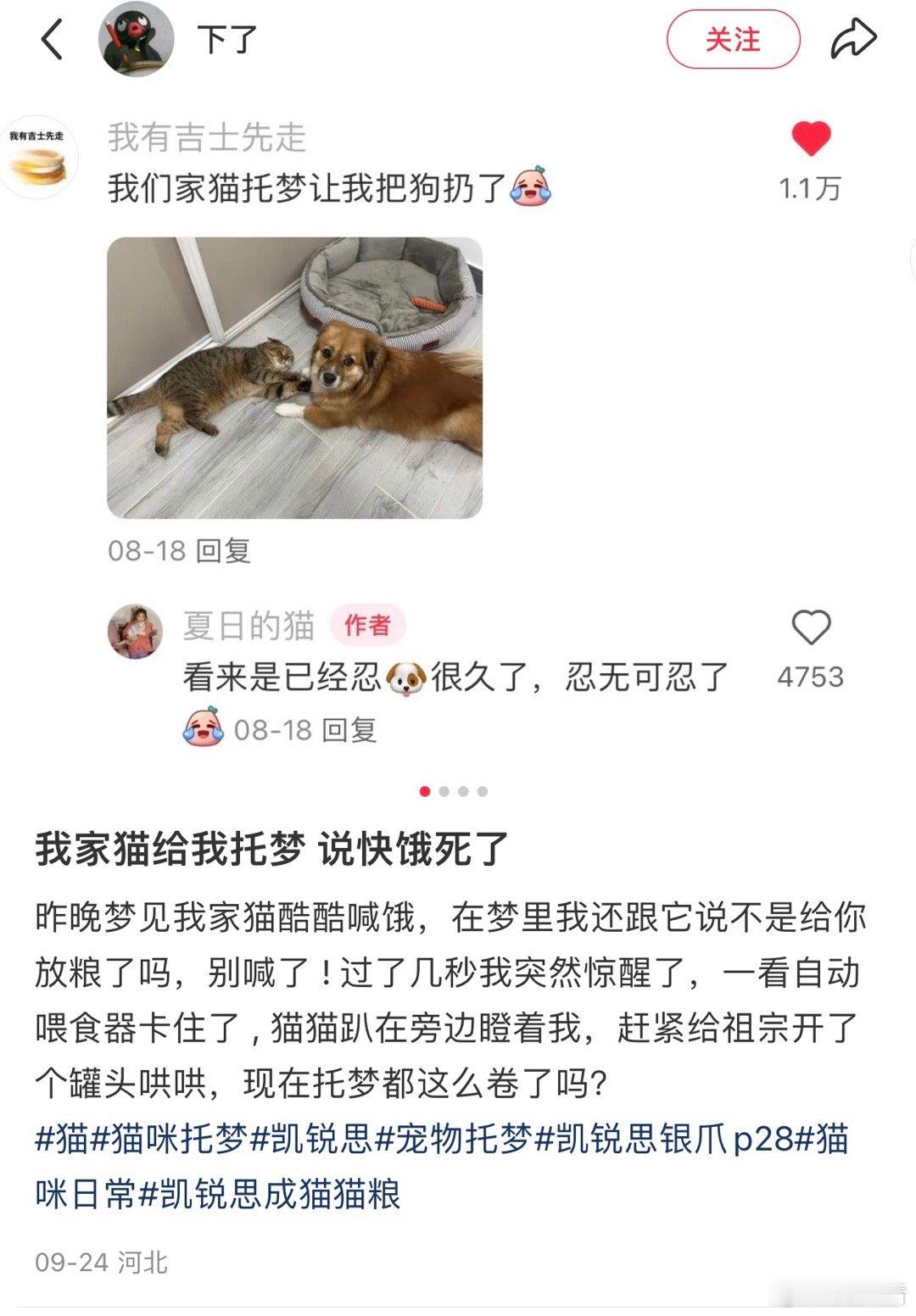 5555555评论区的咪们真可爱！！ 
