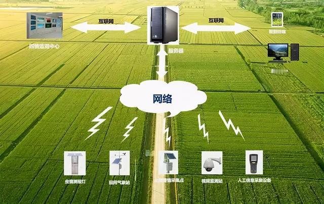 记者从农业农村部获悉，“十四五”期间，我国智慧农业建设按下“加速键”，从创新能力