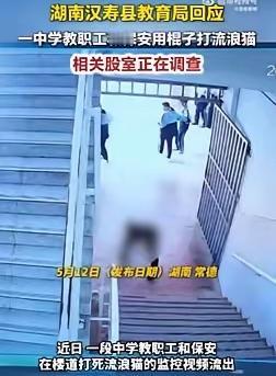 湖南汉寿一中俩保安因为拿棍棒当众打死校园流浪猫，直接“火”出圈了！学校通报说这猫