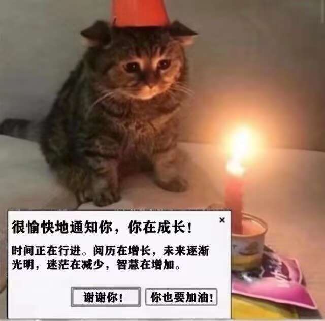 加油吧…正在刷微博的你。 ​​​