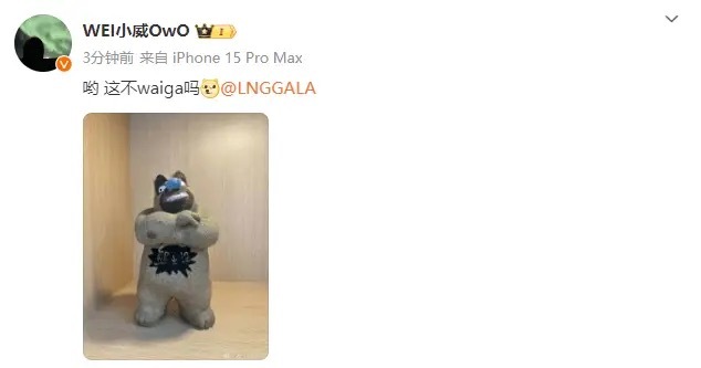 Wei晒熊二图片喊话GALA：哟，这不waiga吗#uzi说史森明被卡合同##2