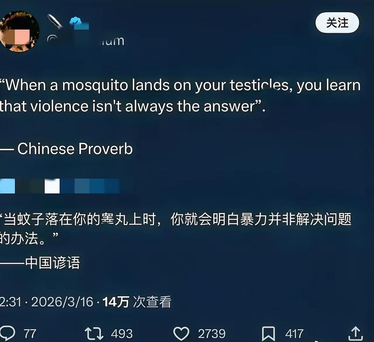外国人：当蚊子落在你的蛋蛋上，你就会明白，暴力并非解决问题的办法……中国谚语
