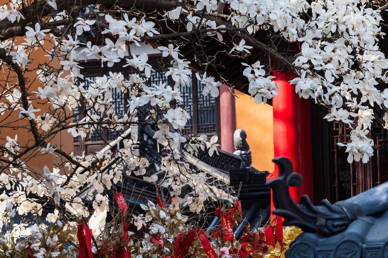 南京灵谷寺。南京灵谷寺摄影 原创摄影