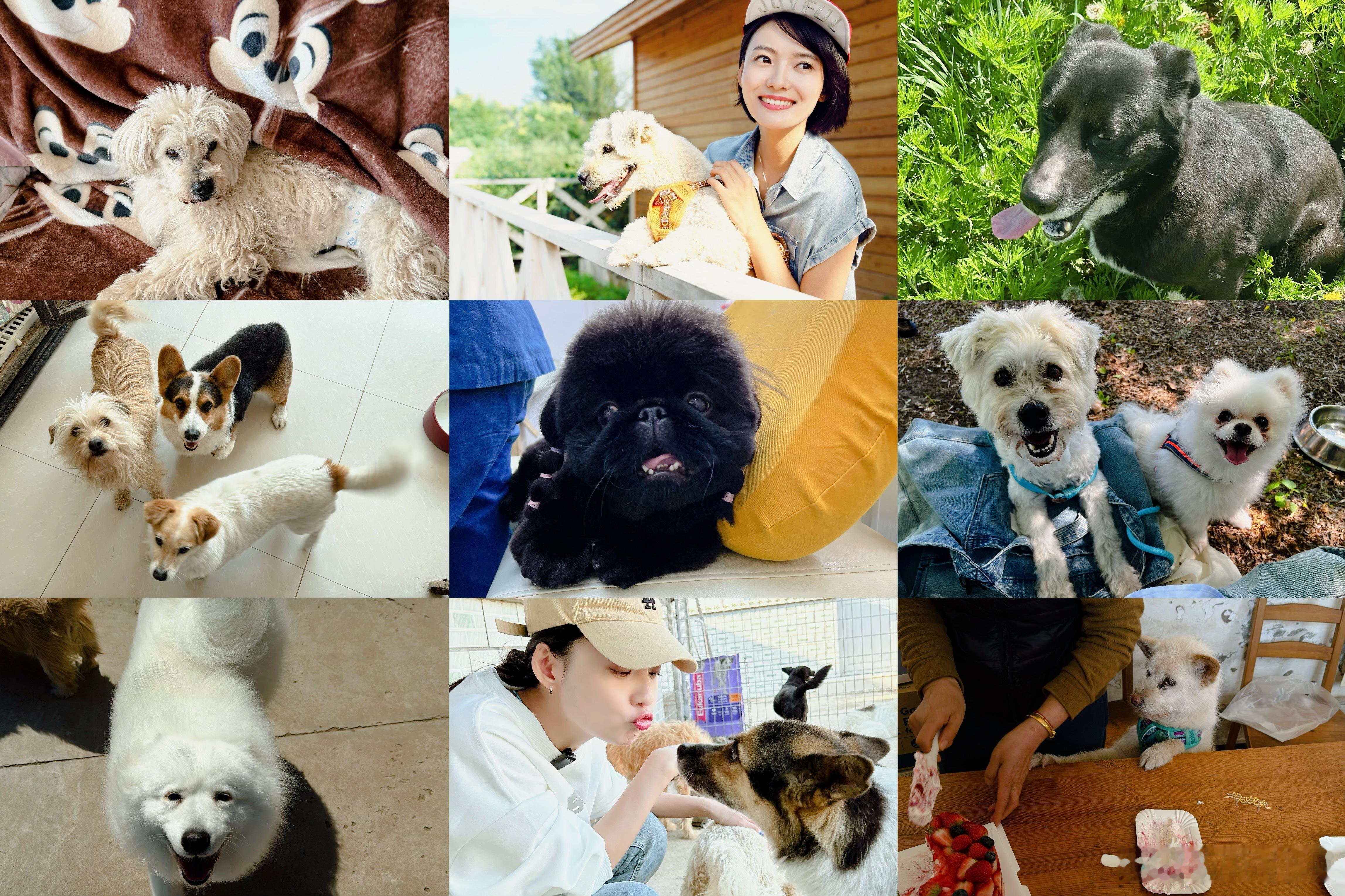 你们就是我的能量永动机ฅ՞•ﻌ•՞ฅ愿每只毛孩子🐶都有罐罐管饱、被窝撒娇、一生