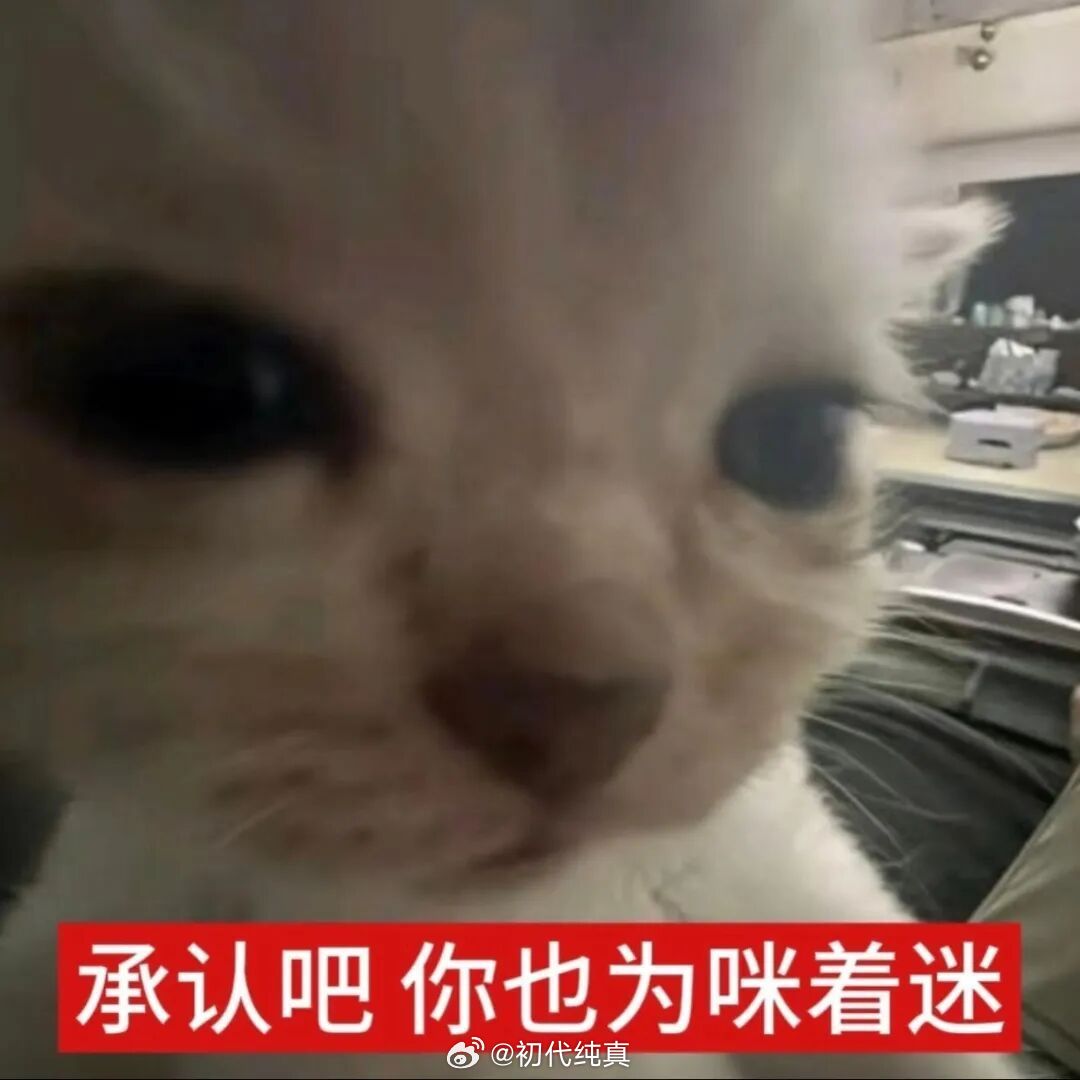 谁看了我的主页不夸一句美啊 ​​​