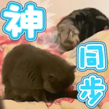 平陆运河开通试运行与中国-东盟博览会同步（图二、三、四平陆运河钦州市区段）。