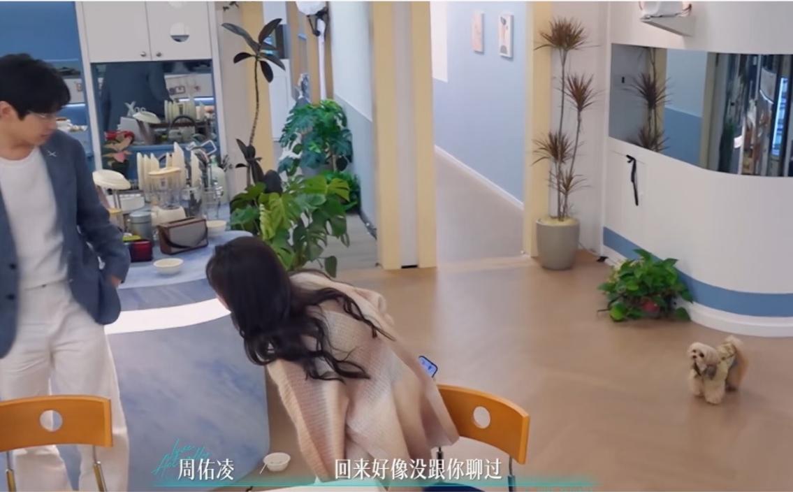 周佑凌家的小狗didi磕的不是周柳cp，是琪凌啊！
笑死人。
细节很明显：丹琪每
