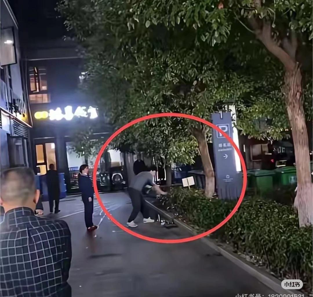 杭州青山湖马犬被打事件 转发
📅11月1日，杭州青山湖街道上演了令人心碎的一幕