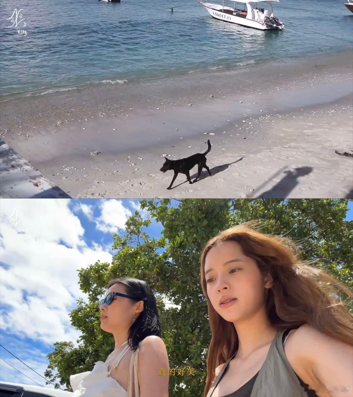 第一次感到和欧阳娜娜有代沟看欧阳娜娜旅行vlog笑不活了，朋友说音浪相关的梗她完