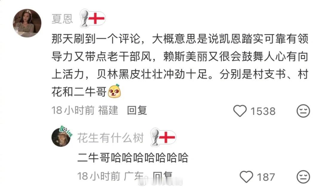 贝林厄姆 颜值凯恩 赖斯 贝林厄姆 分别是：村支书 村花 二牛哥