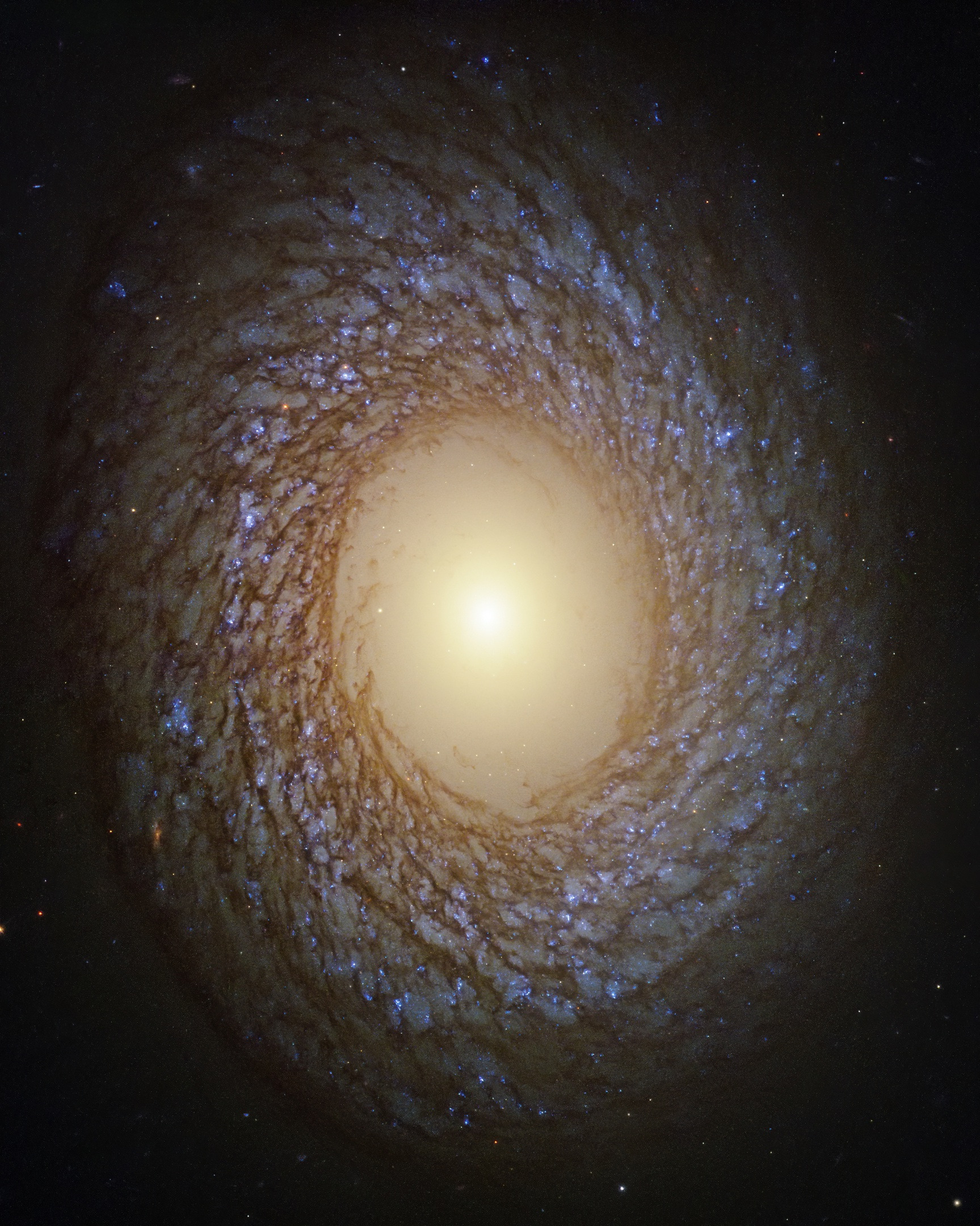 美丽的螺旋星系 NGC 2775，距离我们 6700 万光年，由哈勃太空望远镜拍