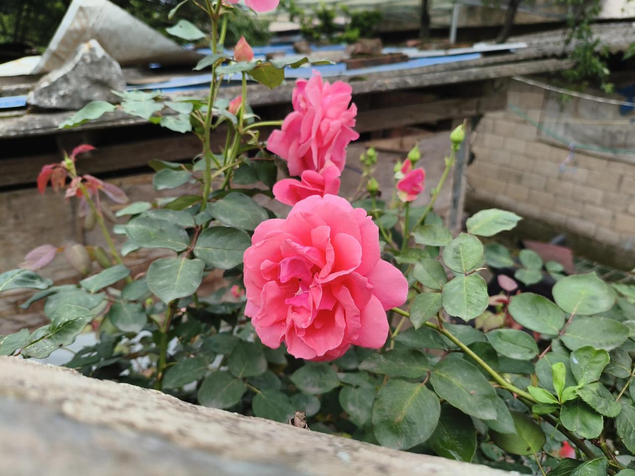 中小学教师工资：
中小学教师工资包括三部分：
一薪级工资
二职称工资（岗位工资，