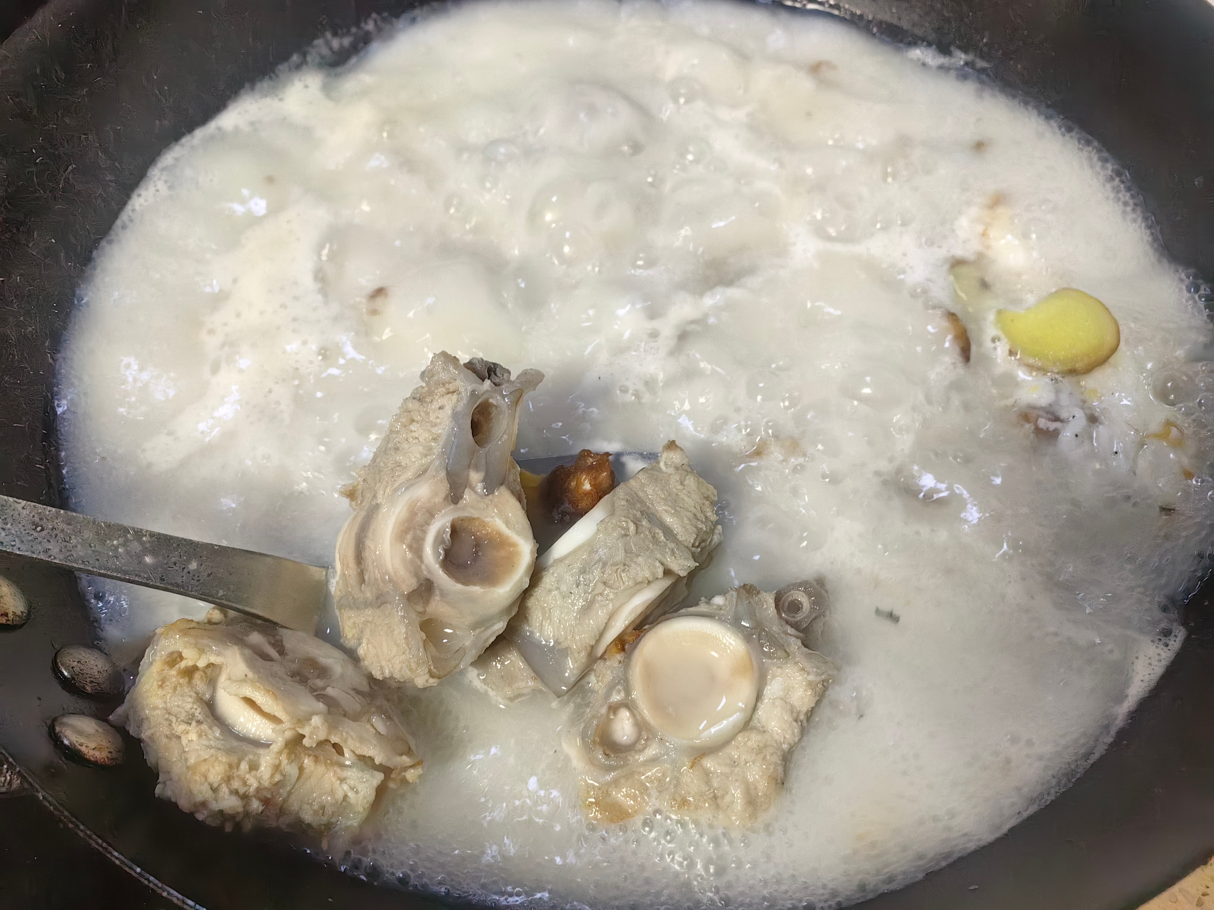 家常菜 鱼骨汤，茄子🍆，佛手瓜油蛤，鸡腿肉，芥末花螺。 清蒸鱼。 