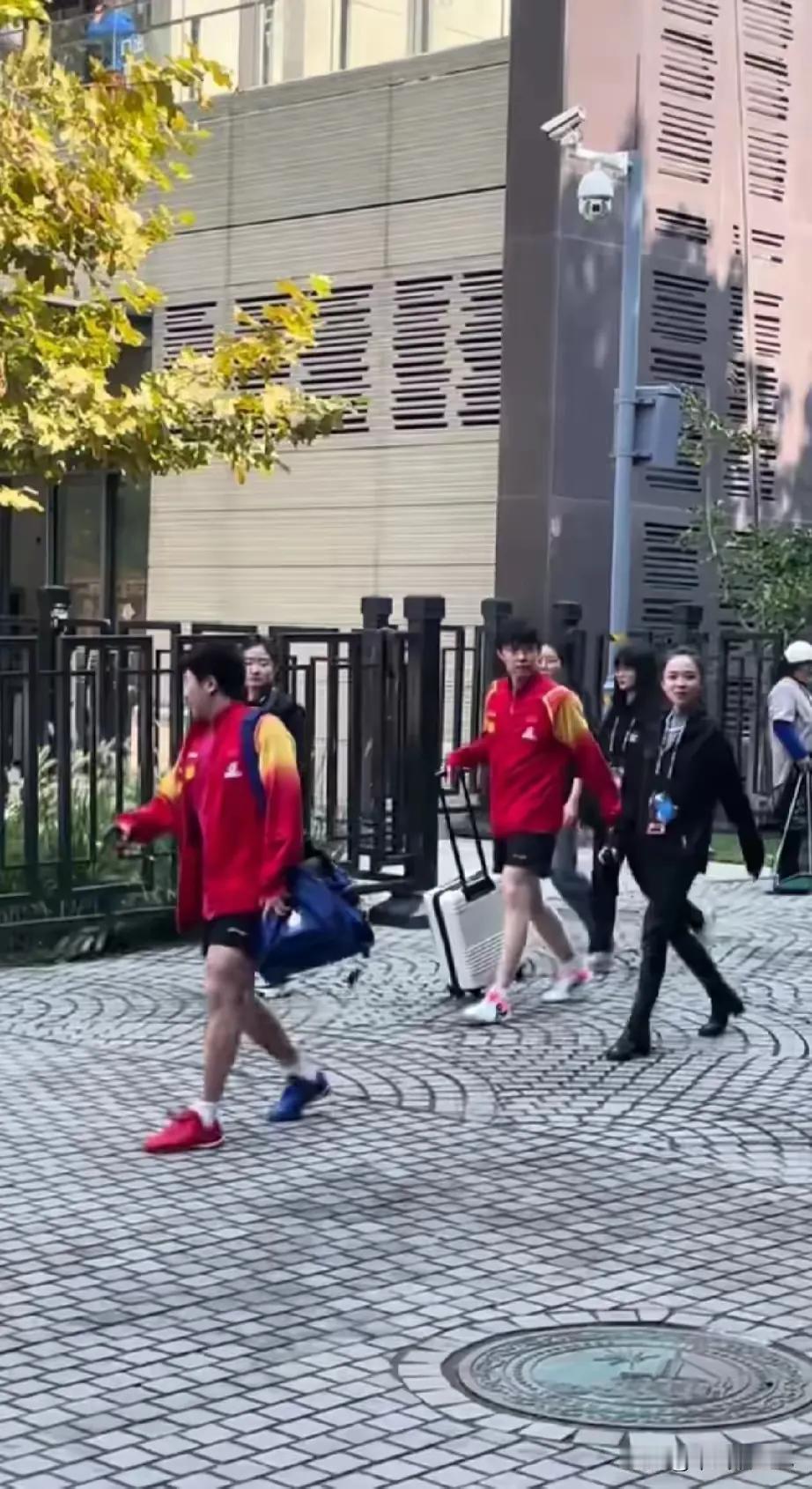 王楚钦身边的这位女士，不出意外的话身份很快会被网友扒出。昨天有网友说是刘国正的夫