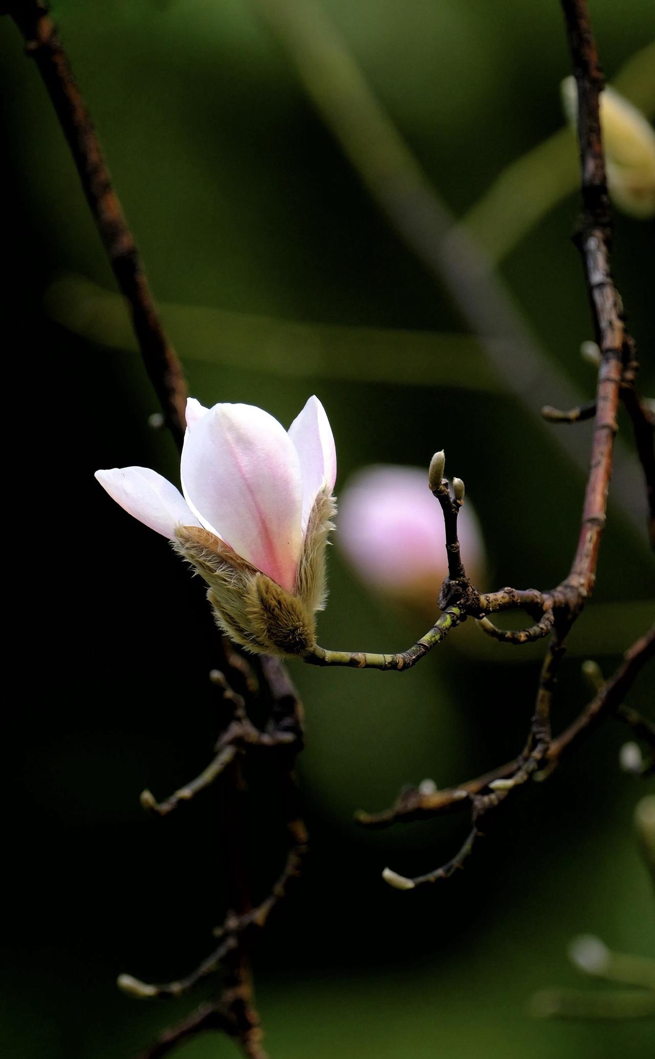 哪怕生活让你遭遇了沉重的打击，哪怕你正经历着难以承受的不幸，你也要记得：能够解决