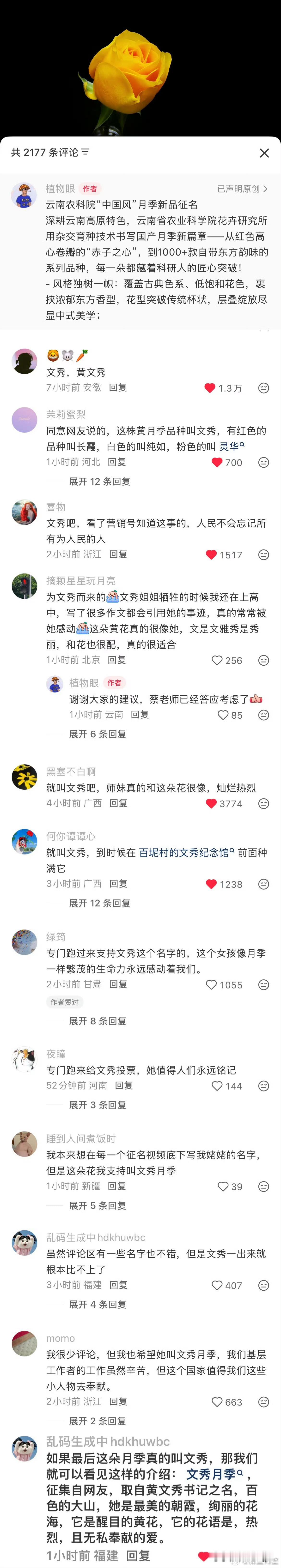 今天的第一份感动来自网友要给一朵新品种月季命名为文秀月季