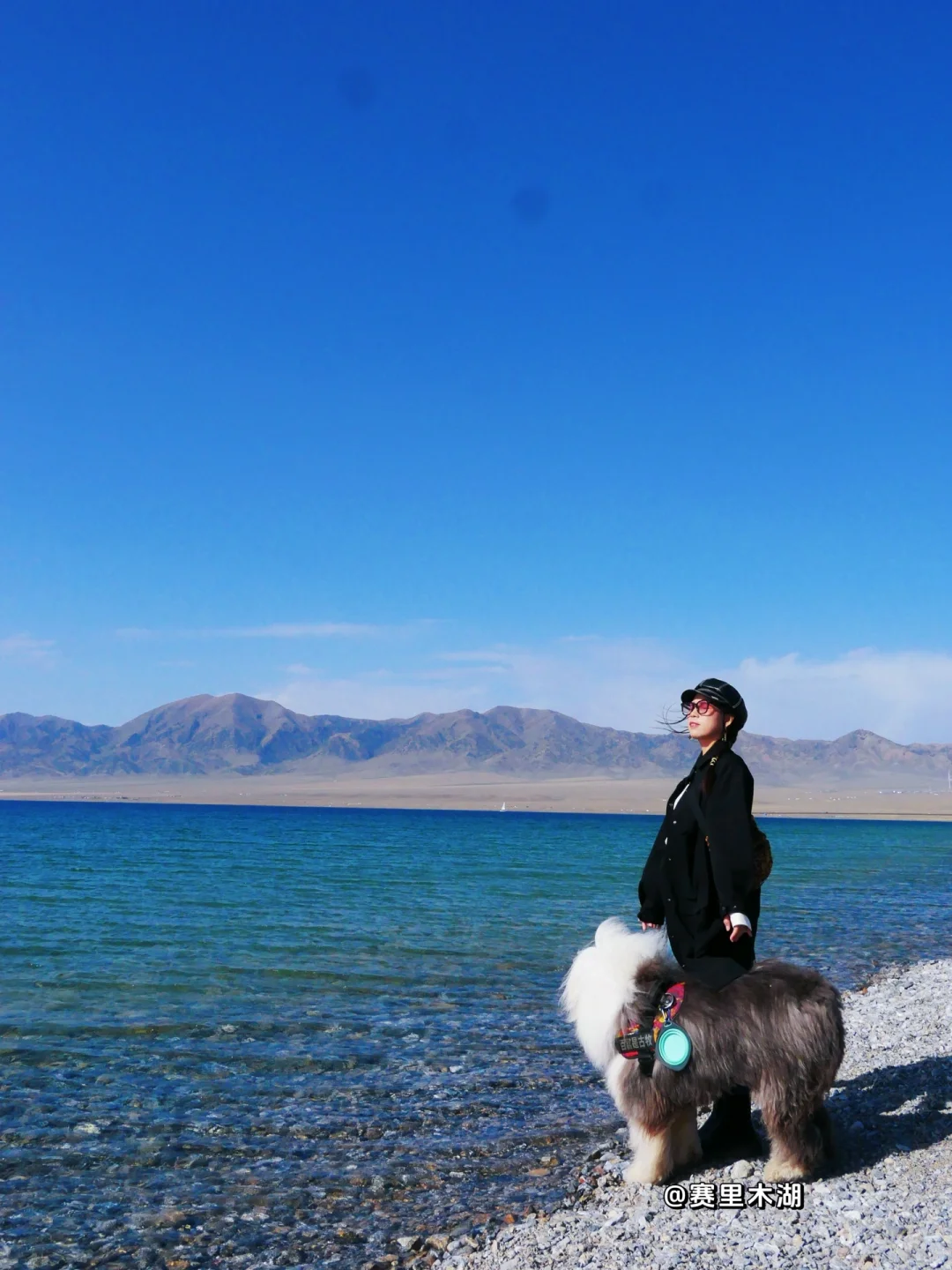 2024我带狗狗去过的9个热门旅行地