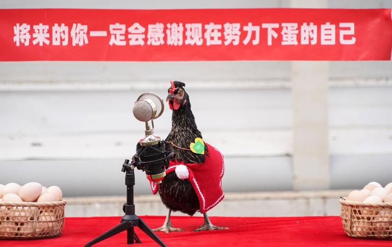 上海移动深夜报案！3名员工穿工服实名举报断网创收，视频下架引全网质疑
 
“每月